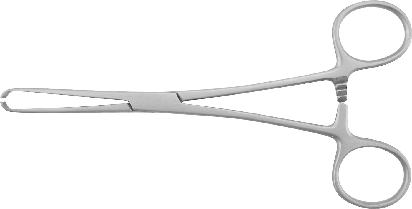 Gewebefasszange "Allis" | 16 cm