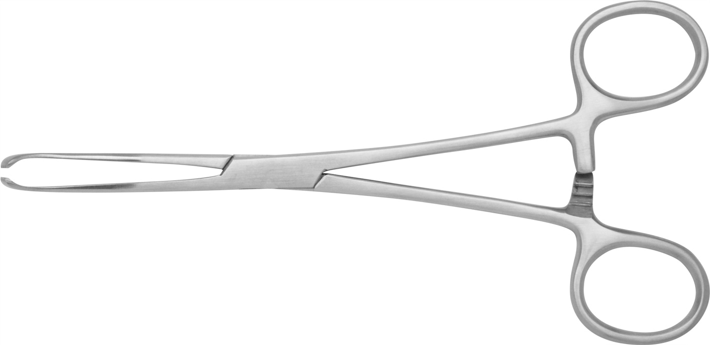 Gewebefasszange "Allis" | 15 cm