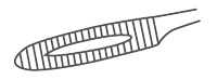 Tupferzange "Gross-Maier" | 14 cm