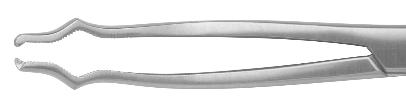 Knochenhaltezange | 17.5 cm