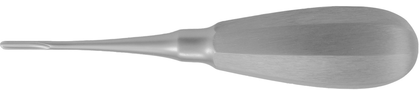 Wurzelheber "Bein"